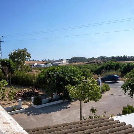 Loft Sin Cocina Y Terraza Conil De La Frontera Extérieur photo